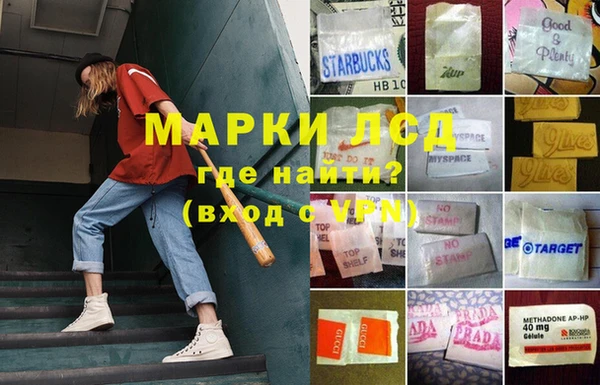 прущие грибы Сафоново