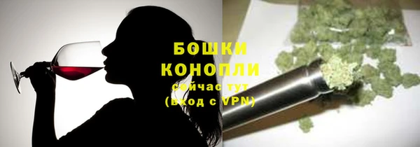 шишки Сатка