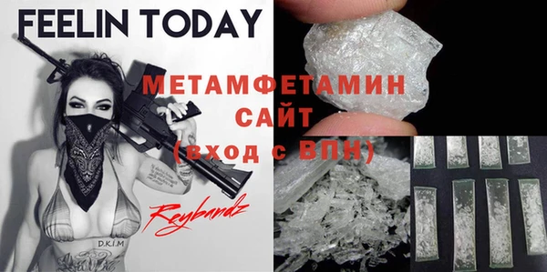 шишки Сатка
