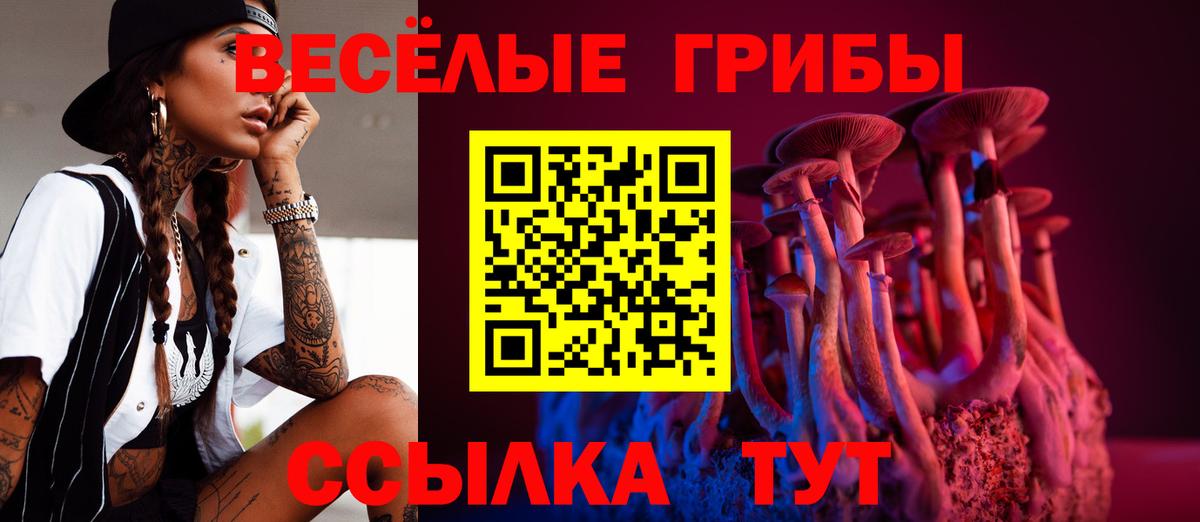 Псилоцибиновые грибы ЛСД  Вход с VPN  Конаково  Псилоцибиновые грибы мухоморы 